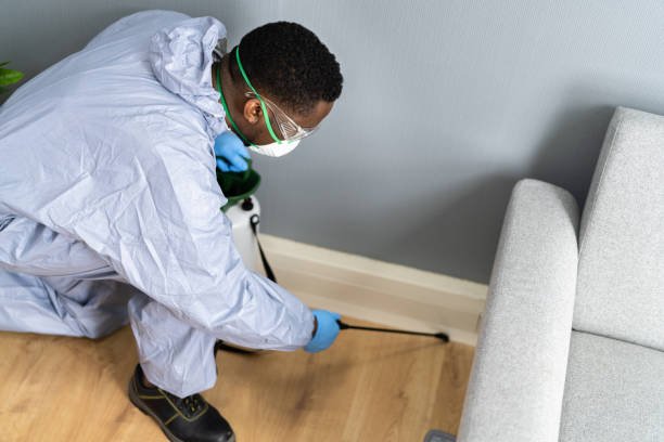 Best Termite Inspection and Treatment  in Bonney Lake, WA